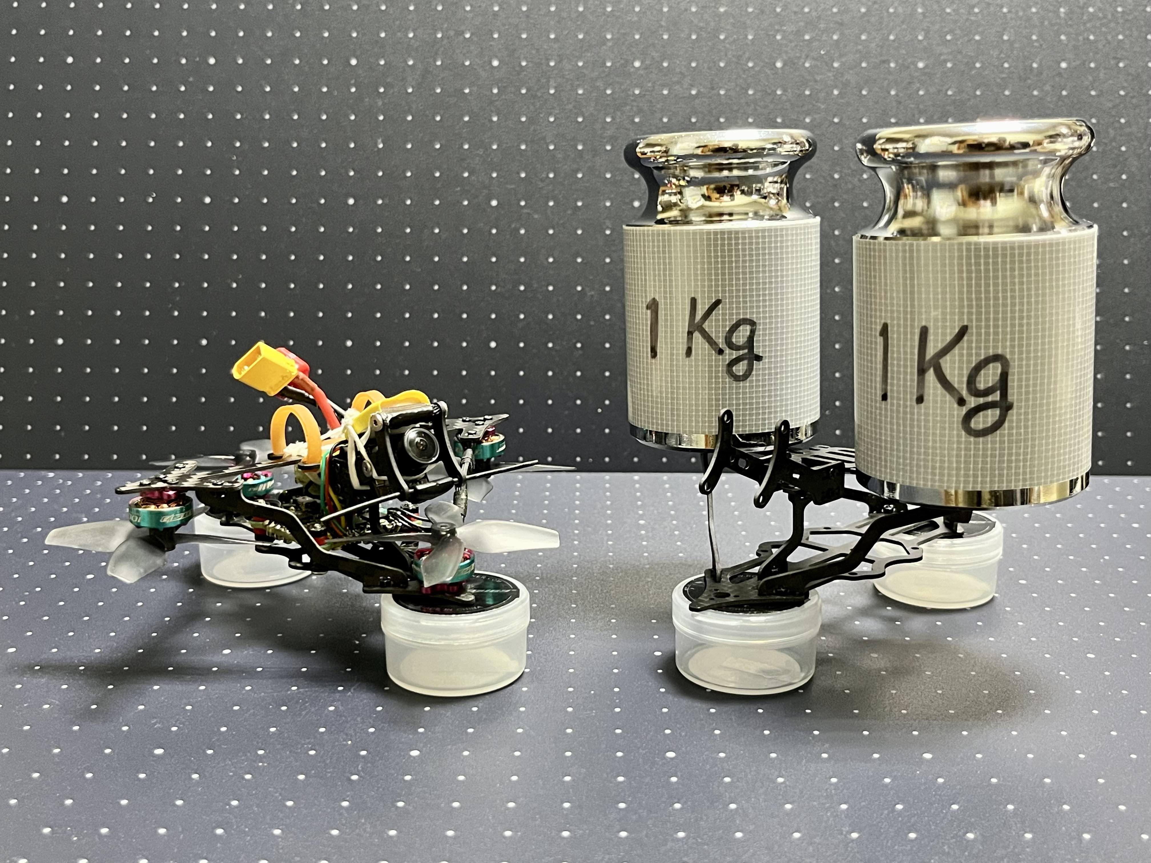 Tetra 2 Lite --- 1mm Carbon Thin Macho Frame 6.5g